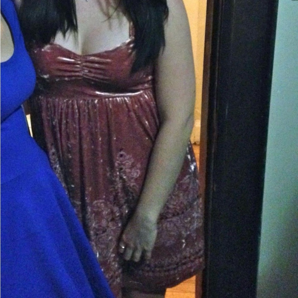 Pink crushed velvet free people dress.
